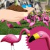 Bloem Pink Flamingo 25" Statue (24-Pack)   567573235